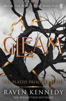 Gleam book cover