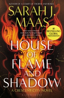 House of Flame and Shadow book cover