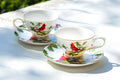 Grace Teaware Red Cardinal 6oz Fine Porcelain Tea Cup and Saucer